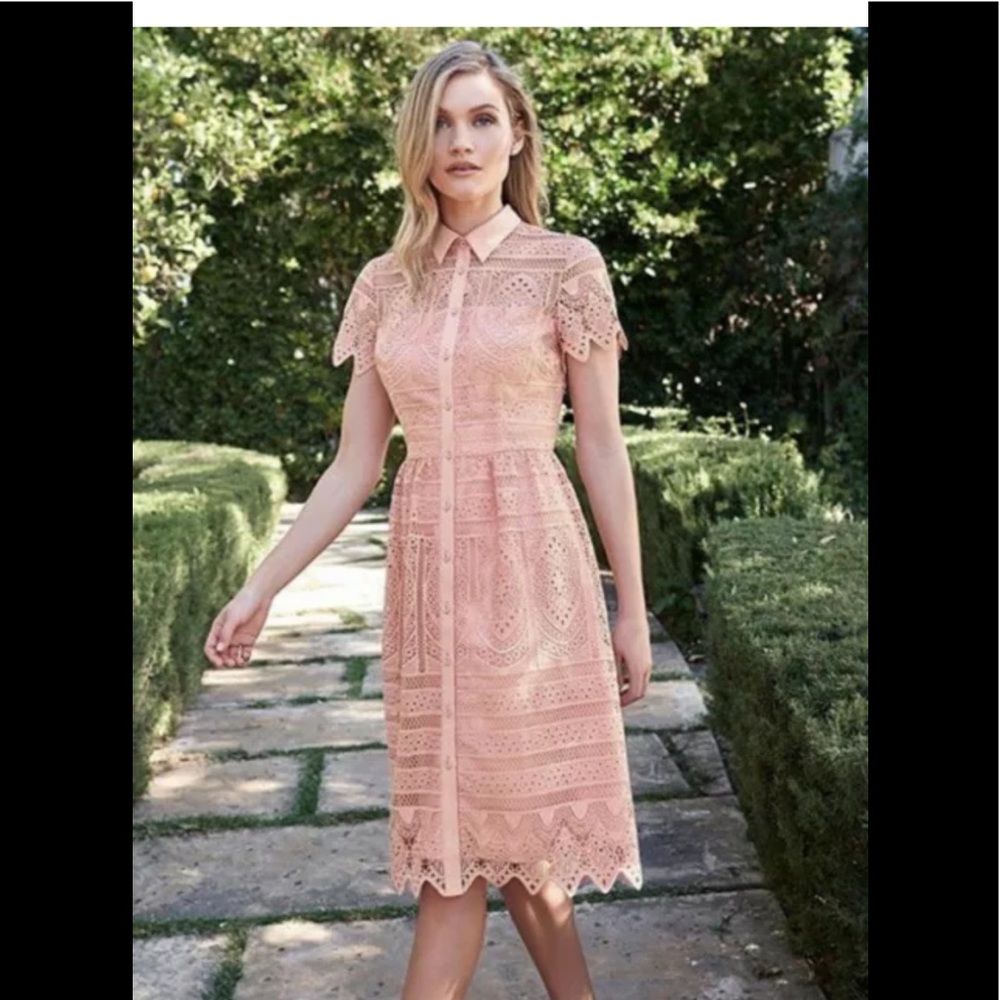 Antonio Melani Michelle Lace Dress size 6